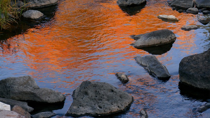 A photograph of a small stream. The sunset is reflecting on the water, making it look orange, and medium-sized rocks are sticking through the surface.